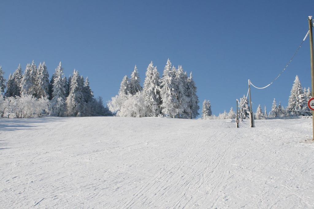 Altenberg Ferienhaus Am Skihang מראה חיצוני תמונה